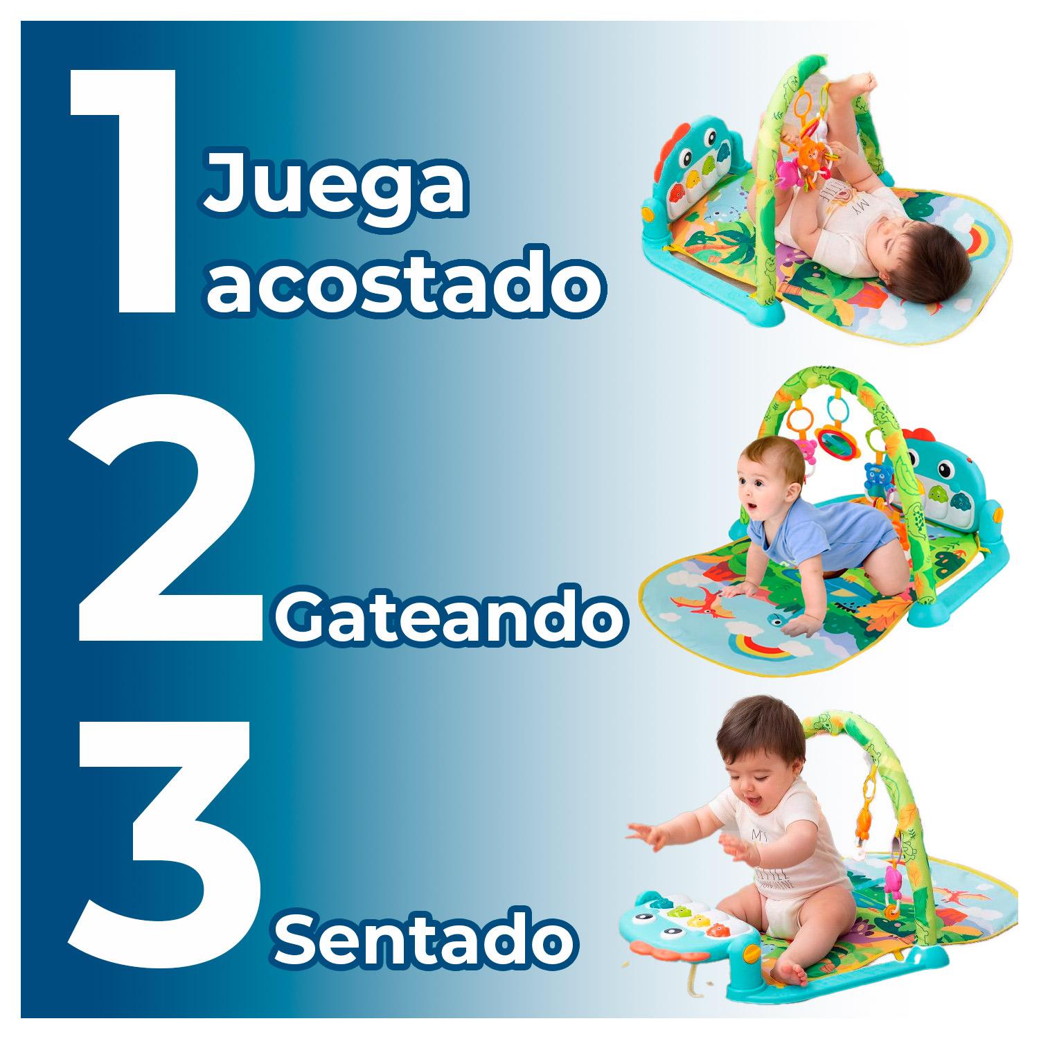 Caracterisiticas