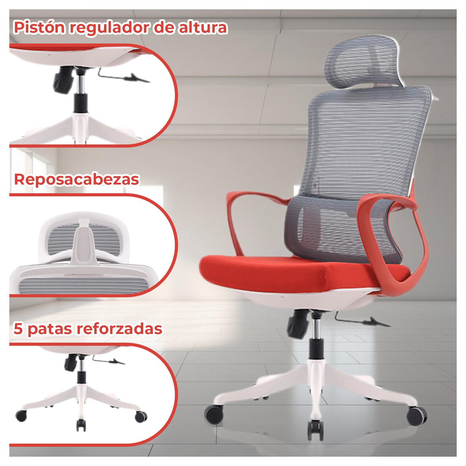Caracterisiticas